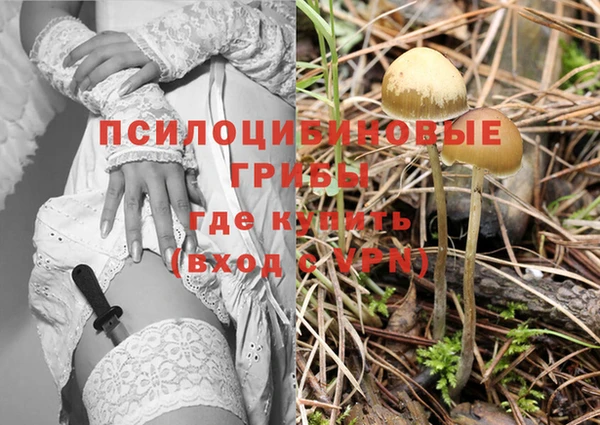 кристаллы Белокуриха